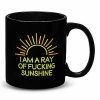Buy 😍 Ray of Fucking Sunshine Black Light Coffee Mug - 20 oz. 🤩